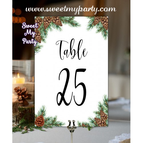 Pine Cone Table numbers,Winter wedding table numbers,(119w)